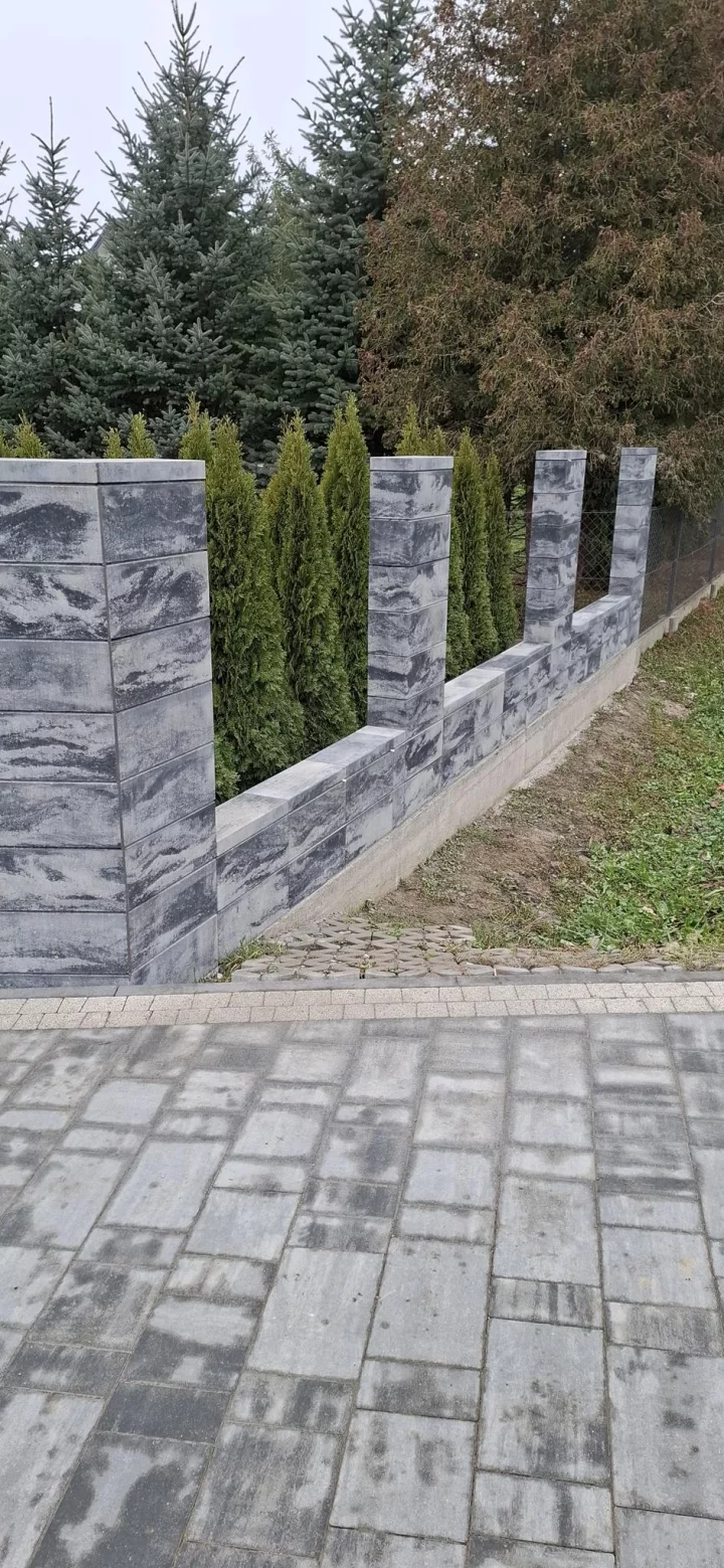 20241108_110923 (Copy)