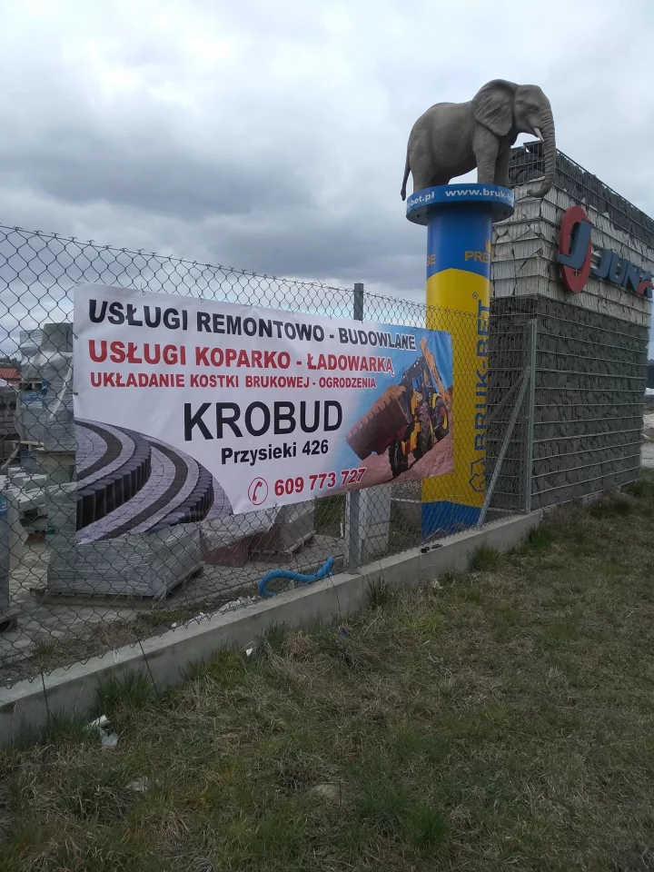 IMG_20200330_122907 (Copy)